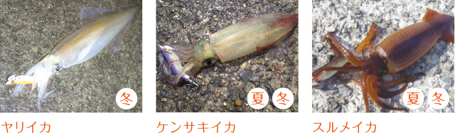 1685950331571608.jpeg p603_tokutyou_07.jpeg