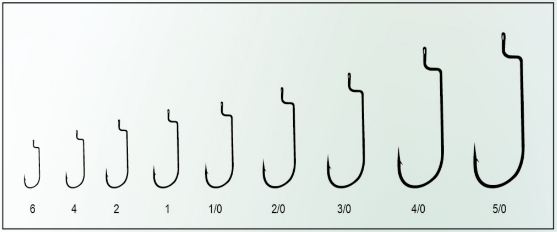 1705978861280554.png image.png