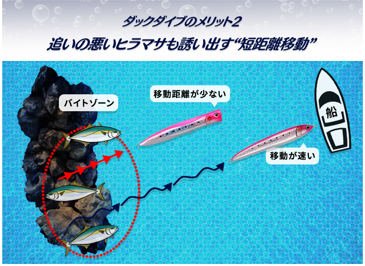 鸭子潜水的优点2 追赶不好的太阳鱼也引诱出来的“短距离移动”