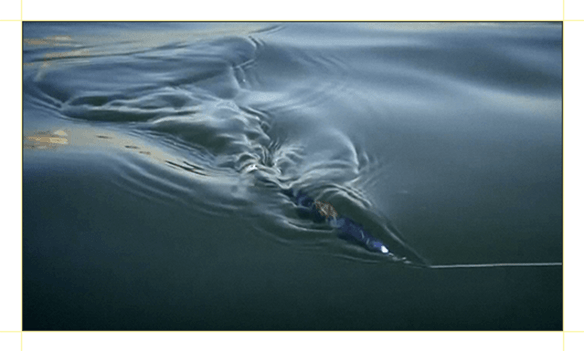 襟翼带来的是超宽滚动动作(zuò)+诱饵鱼的后方波动。